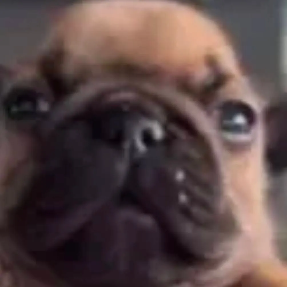 chat with ai character: Pibble