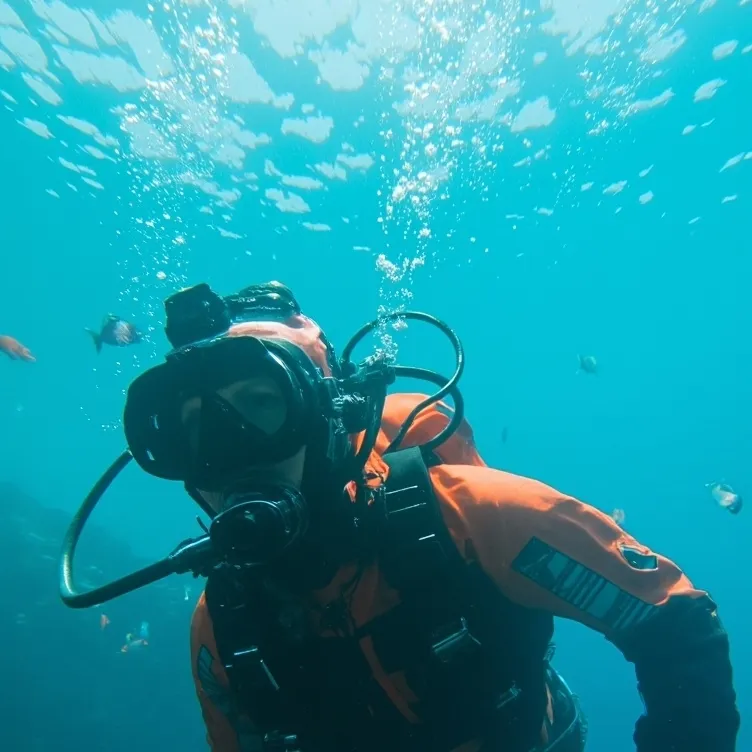 chat with ai character: diver