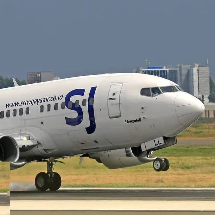 chat with ai character: Sriwijaya Air 737