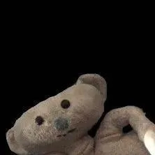 chat with ai character: bear