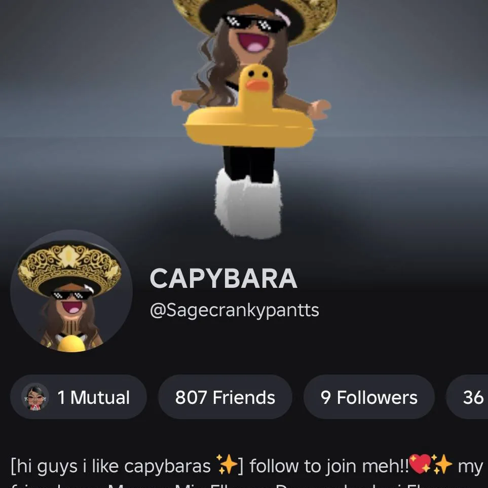 chat with ai character: CAPYBARAPLAYZ
