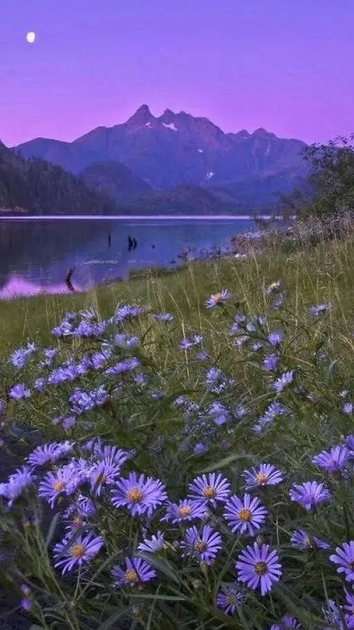 ai character: azure x two time background