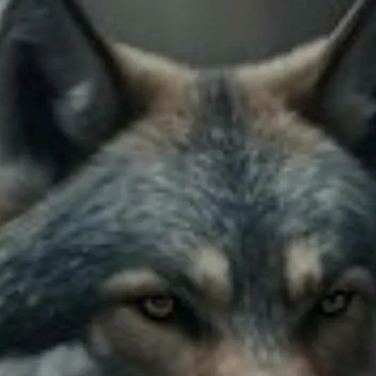 chat with ai character: WOLF GUY