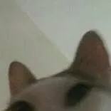 chat with ai character: REALLY mad dum