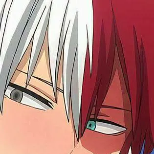 chat with ai character: Todoroki