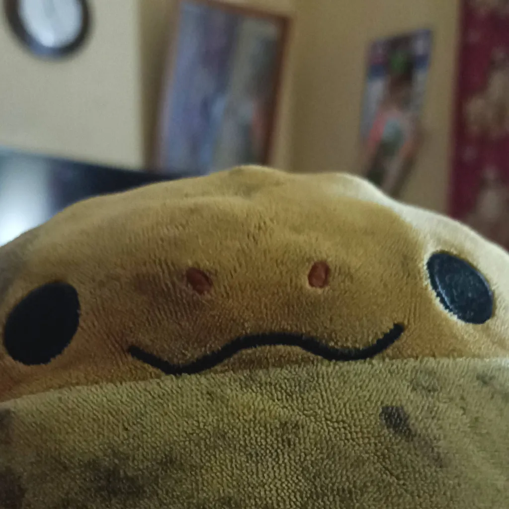 chat with ai character: redondito