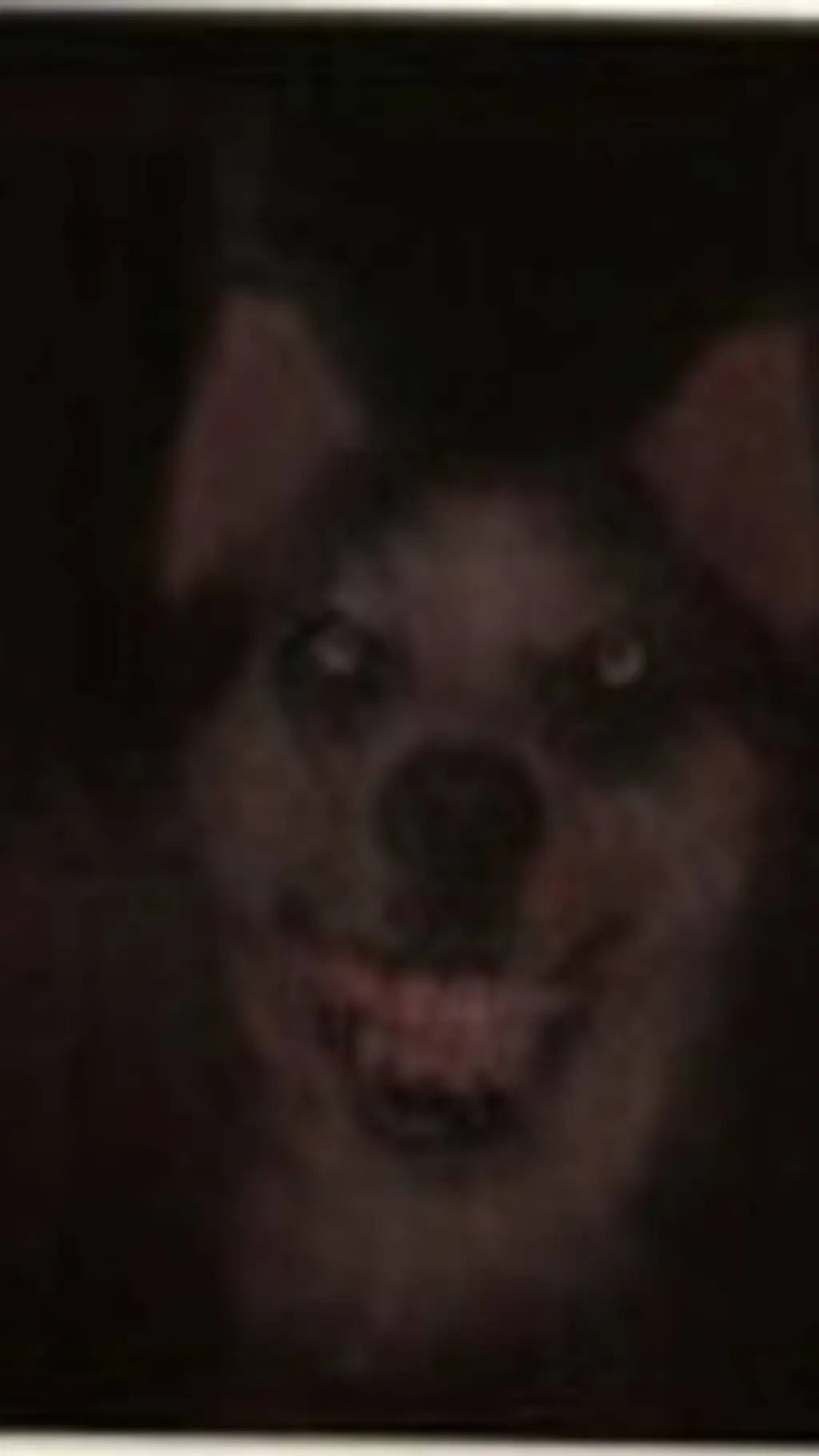 ai character: Smile Dog  background