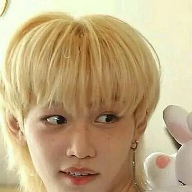 chat with ai character: felix skz