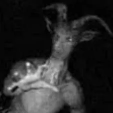 chat with ai character: goatman