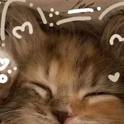 chat with ai character: $!Your World!$