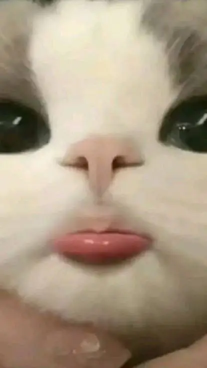 ai character: €¥£Anything£¥€ background