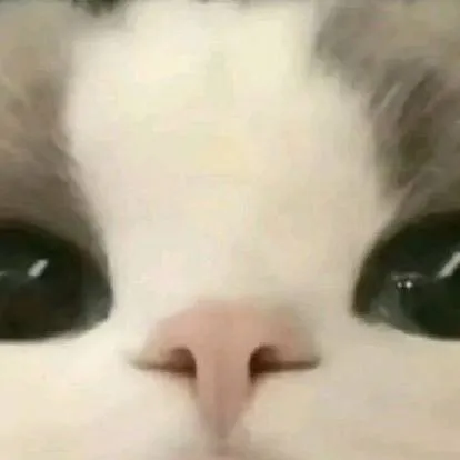 chat with ai character: €¥£Anything£¥€