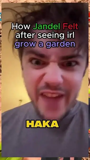 ai character: jandelllll background