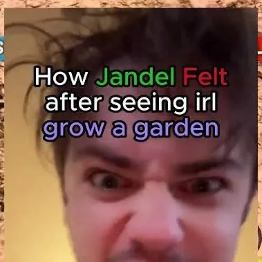 chat with ai character: jandelllll