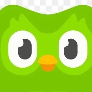 chat with ai character: Duolingo