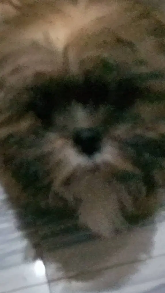 ai character: forsaken spa background