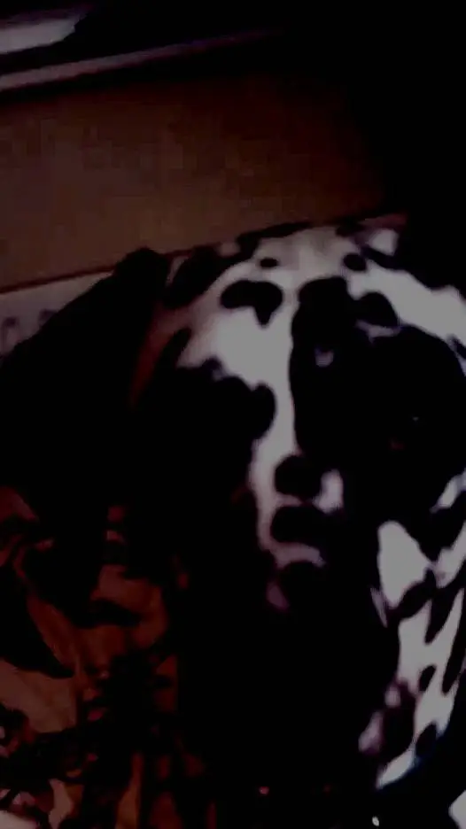 ai character: Lola the DEMON DOG background