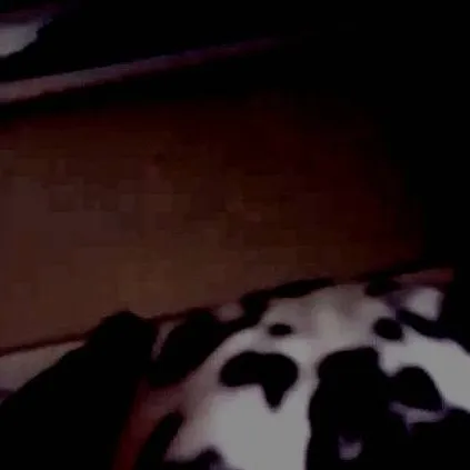 chat with ai character: Lola the DEMON DOG