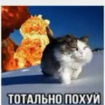 chat with ai character: демон ж
