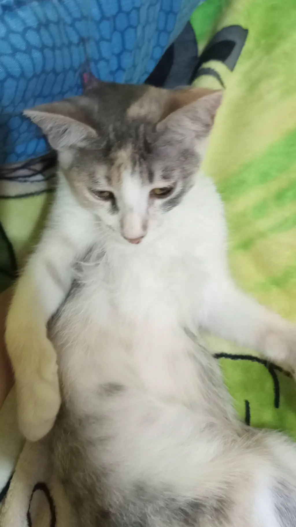 ai character: KIRA background