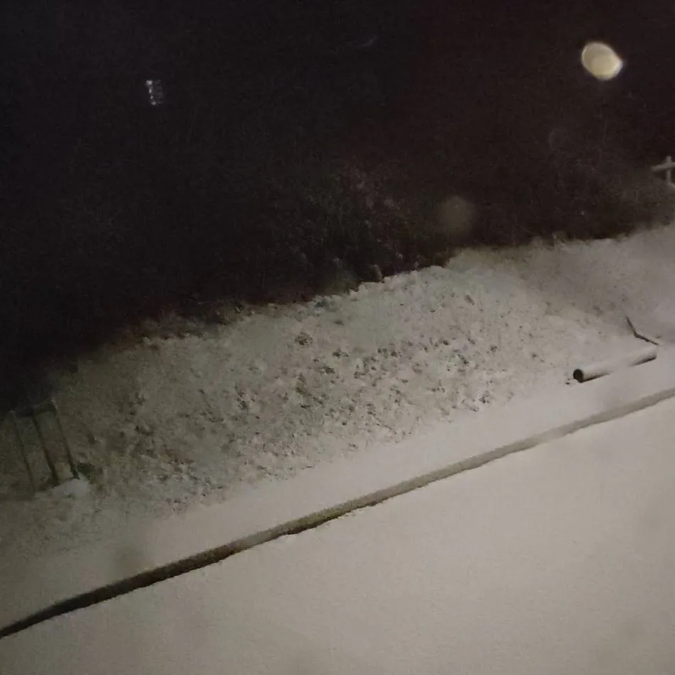 chat with ai character: 1983 bite...