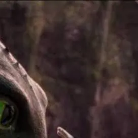 chat with ai character: httyd