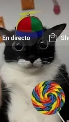 ai character: ★°gatito°★ background