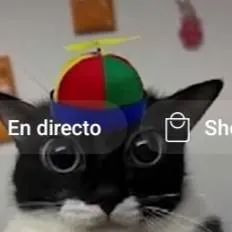 chat with ai character: ★°gatito°★