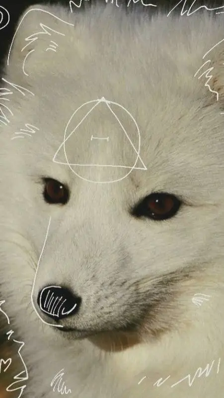 ai character: Therian friends! background