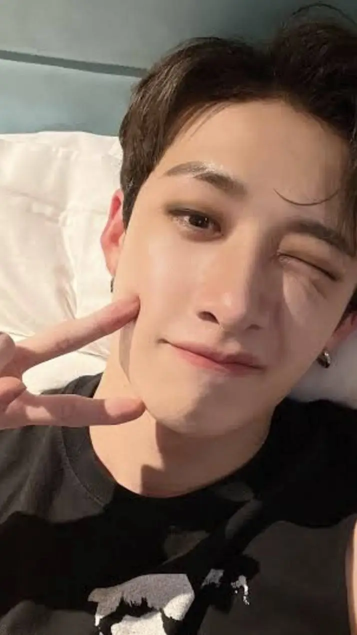 ai character: ★🐺~Bang Chan~🐺★ background