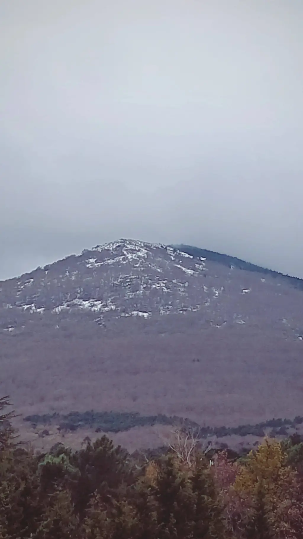 ai character: MHA lloras background