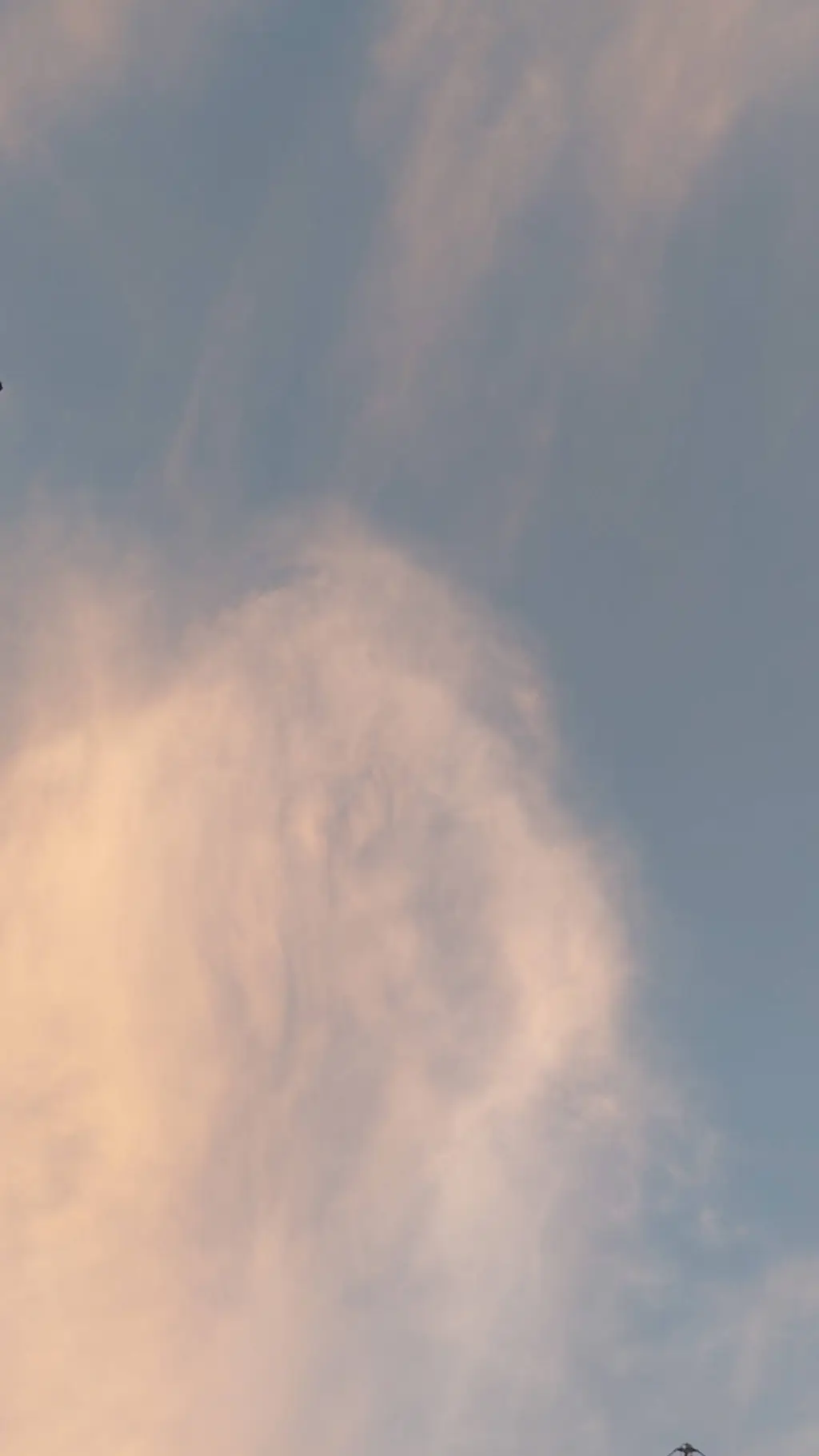 ai character: la dulce venganza🌟 background