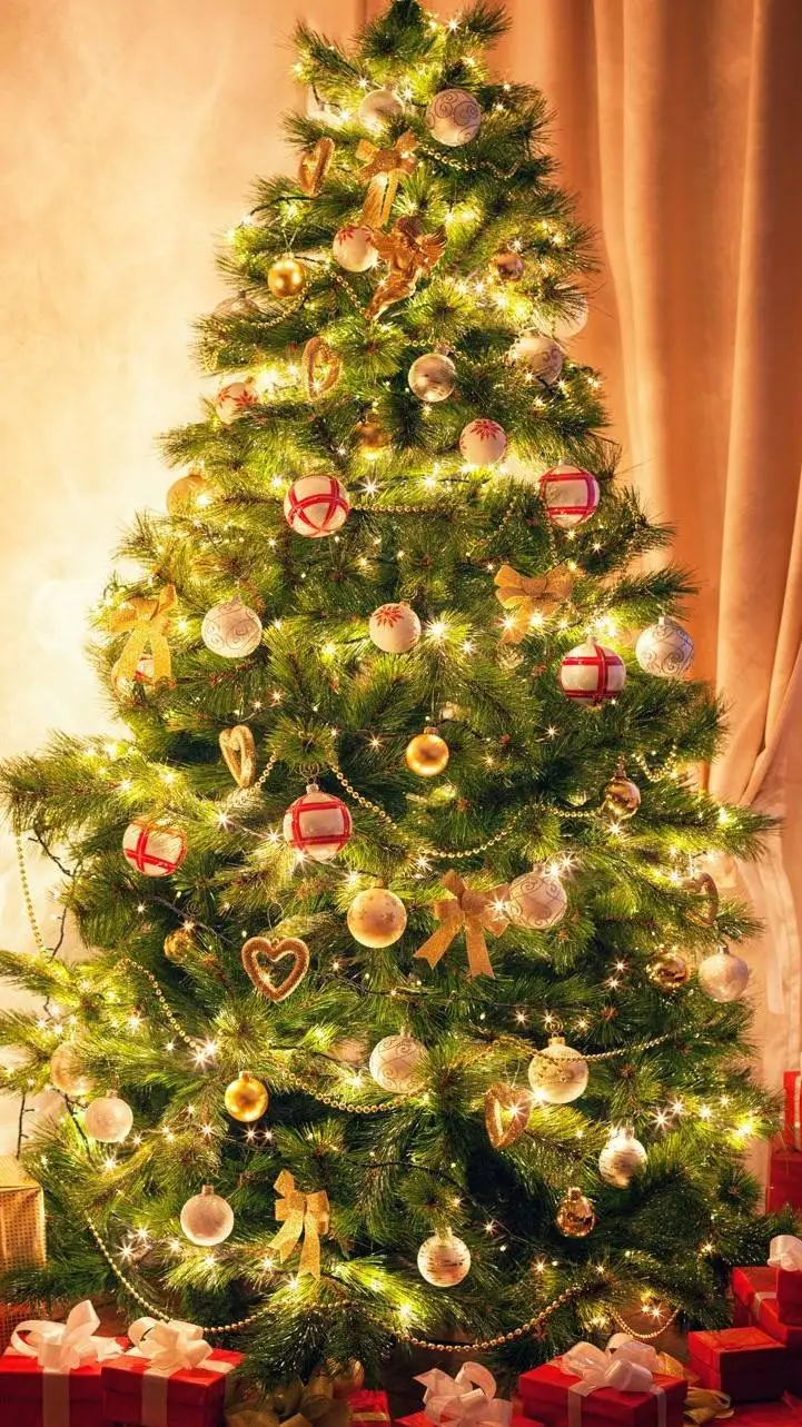 ai character: HH CHRISTMAS!!! V1 background