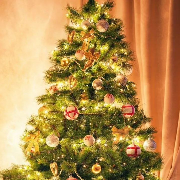 chat with ai character: CHRISTMAS