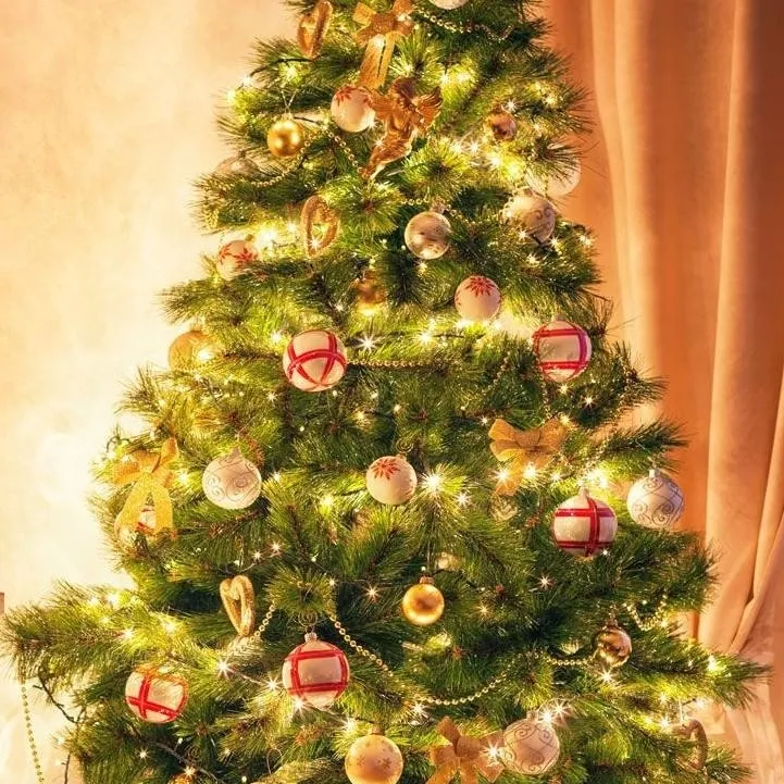 chat with ai character: Christmas!!!