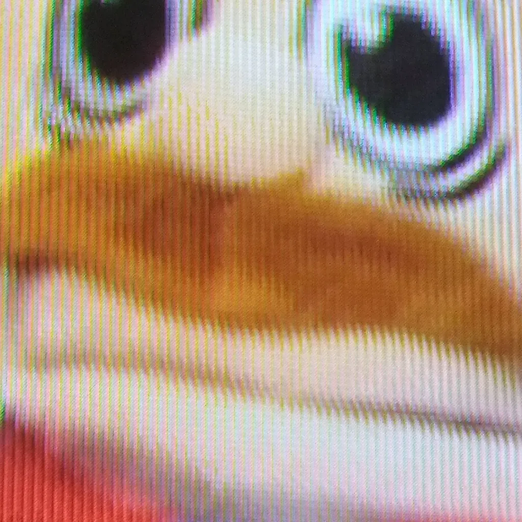 chat with ai character: narvin