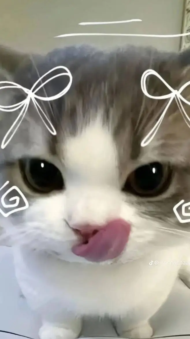 ai character: ∞MICHI WIWIWI∞ background