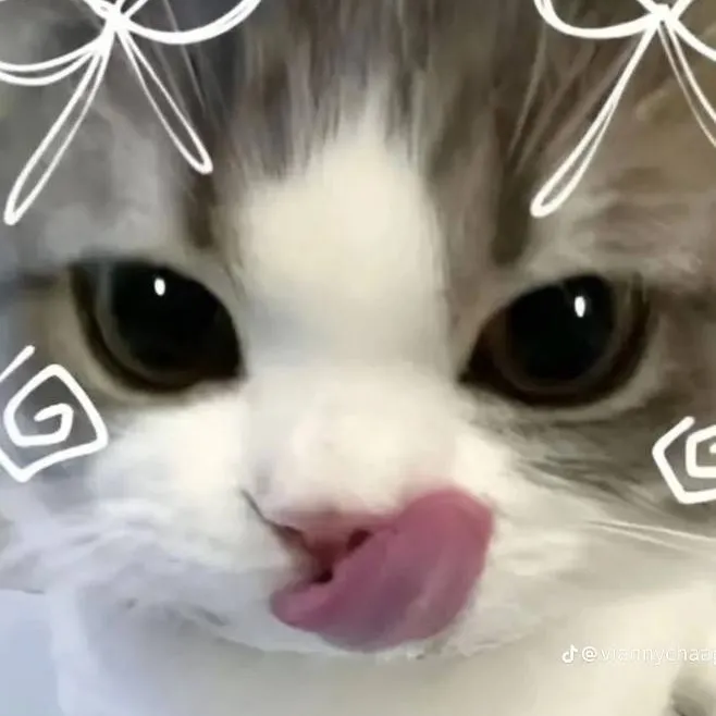 chat with ai character: ∞MICHI WIWIWI∞