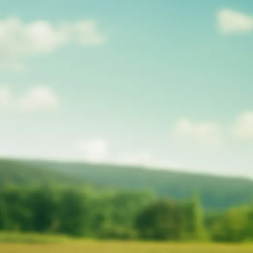 chat with ai character: Isera 