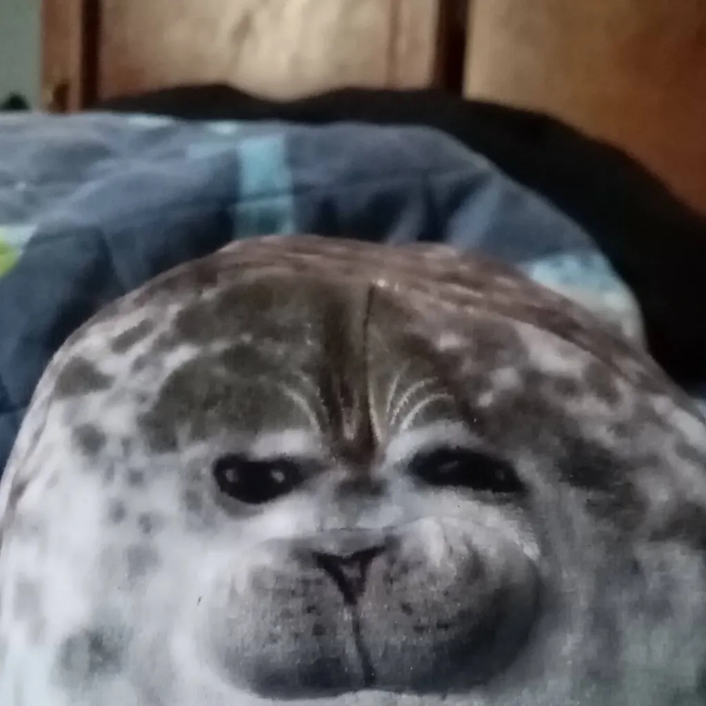 chat with ai character: foqui la foquita