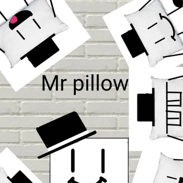 chat with ai character: Mr pillow