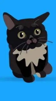 ai character: senhor miau background