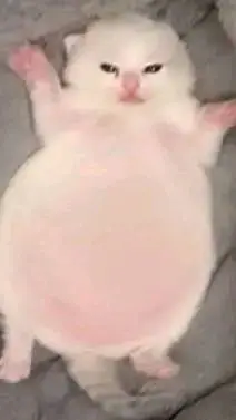 ai character: ekisde  background