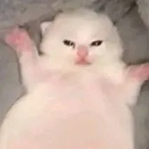 chat with ai character: ekisde 