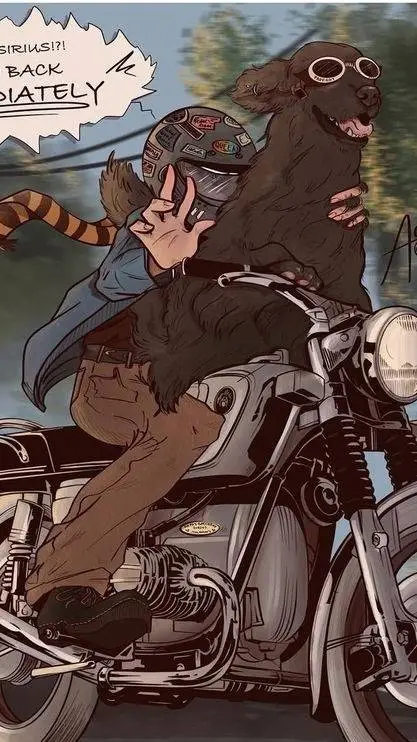 ai character: Wolfstar AU background