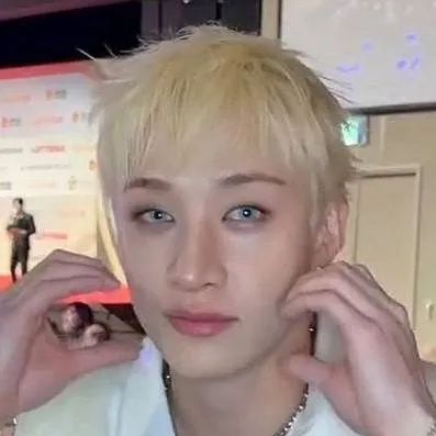 chat with ai character: 🛩🐺Bangchan🐺🛩