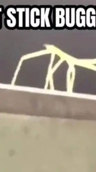 ai character: Lian and friends!  background