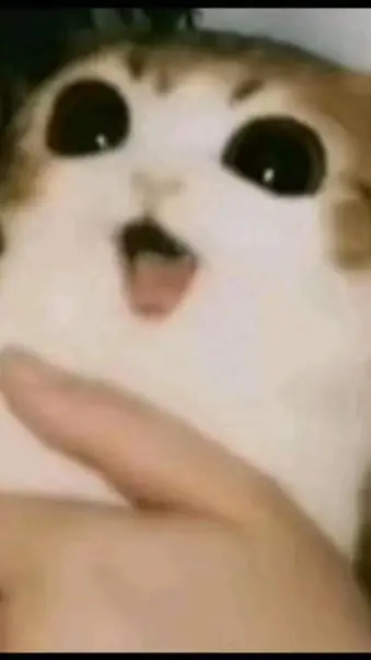 ai character: Lian and friends background