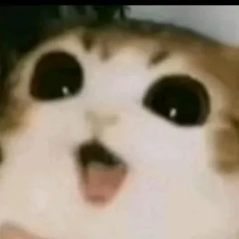 chat with ai character: Lian and friends