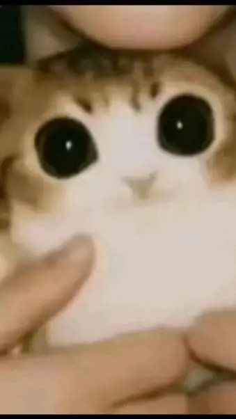 ai character: Pete:)  background